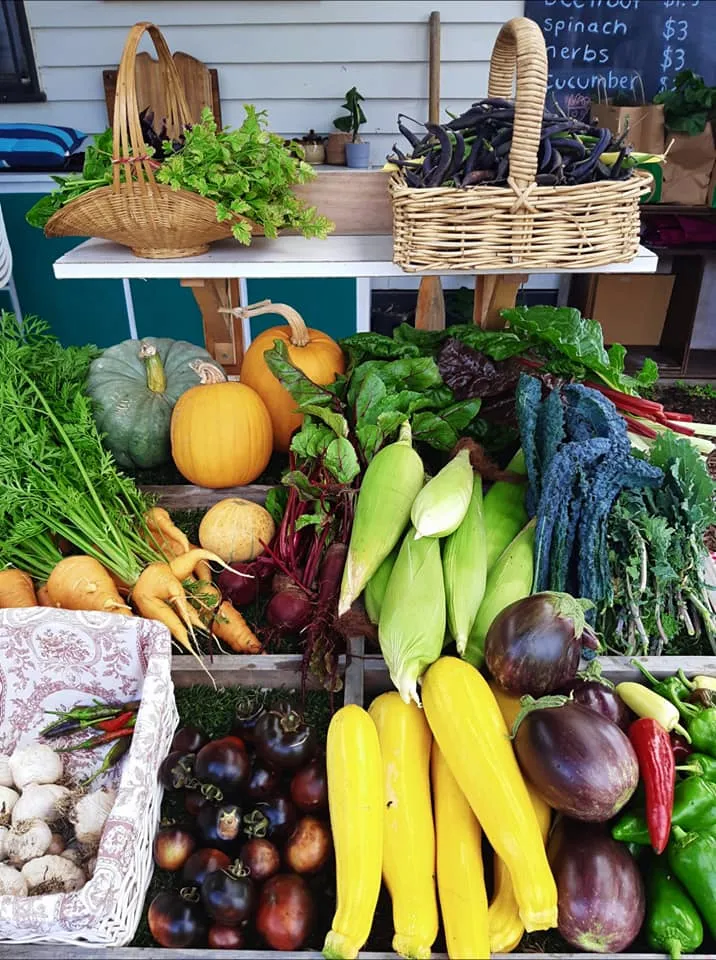 A seasonal abundance of home-grown vegetables at The Farm Next Door market