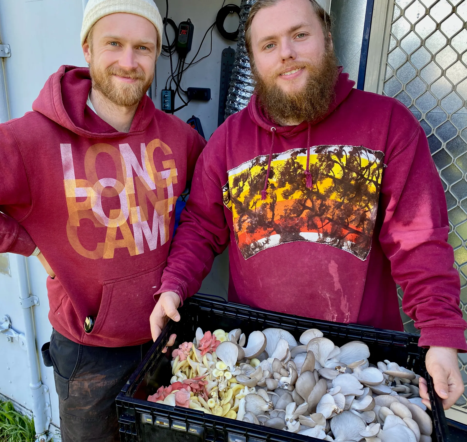 Tom Allen and co-founder holding a crate of freshly harvested oyster mushrooms and exotic varieties